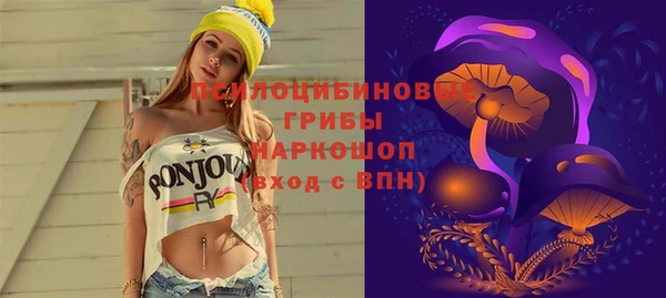 твердый Алексеевка