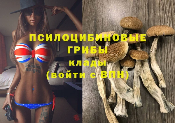 спиды Алзамай