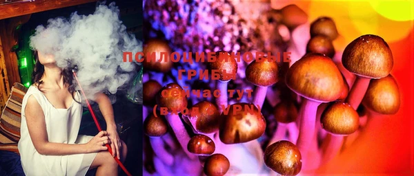 твердый Алексеевка
