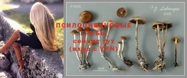 твердый Алексеевка