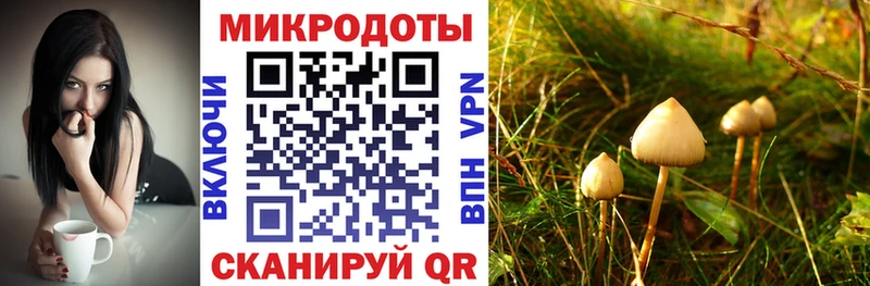 гидра зеркало  Сосенский  Псилоцибиновые грибы Psilocybine cubensis 